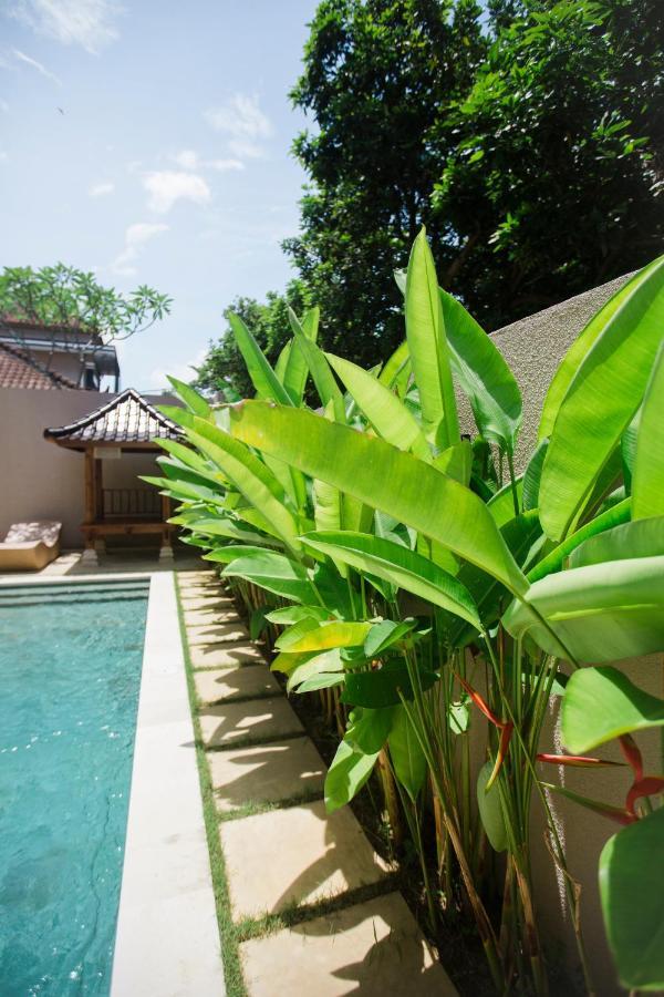Bed and Breakfast Donguri House Bali Джимбаран Экстерьер фото